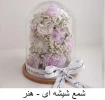 تولیدات و سازه‌های قابل فروش استان تهران، دانشکده شریعتی