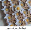 تولیدات و سازه‌های قابل فروش استان تهران، دانشکده شریعتی