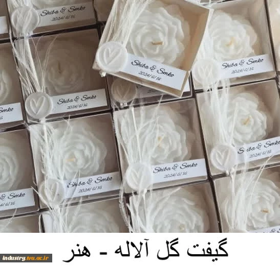 تولیدات و سازه‌های قابل فروش استان تهران، دانشکده شریعتی