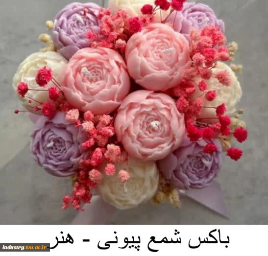 تولیدات و سازه‌های قابل فروش استان تهران، دانشکده شریعتی