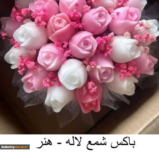 تولیدات و سازه‌های قابل فروش استان تهران، دانشکده شریعتی