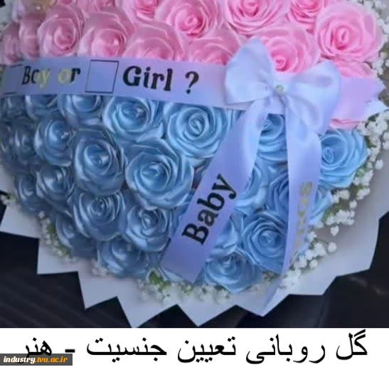 تولیدات و سازه‌های قابل فروش استان تهران، دانشکده شریعتی