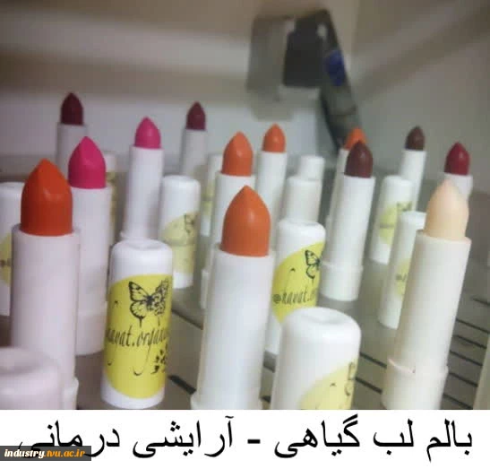 تولیدات و سازه‌های قابل فروش استان تهران، دانشکده شریعتی