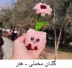 تولیدات و سازه‌های قابل فروش استان تهران، دانشکده شریعتی