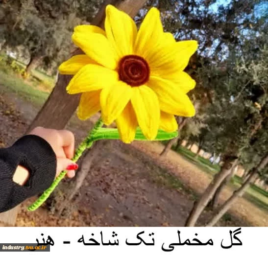 تولیدات و سازه‌های قابل فروش استان تهران، دانشکده شریعتی