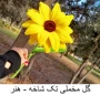تولیدات و سازه‌های قابل فروش استان تهران، دانشکده شریعتی