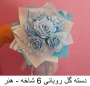 تولیدات و سازه‌های قابل فروش استان تهران، دانشکده شریعتی